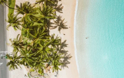 Top 10 Travel Destinations for 2026